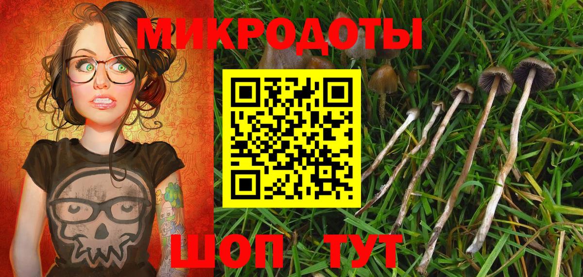 Псилоцибиновые грибы Psilocybine cubensis  Вход с VPN  Калуга  Галлюциногенные грибы Psilocybe 